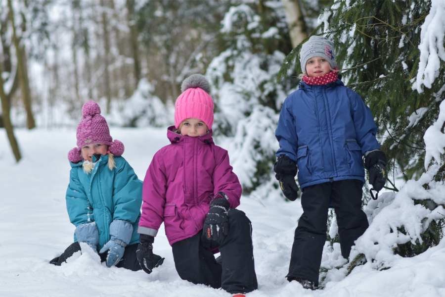 Three children are playing in the forest in the snow